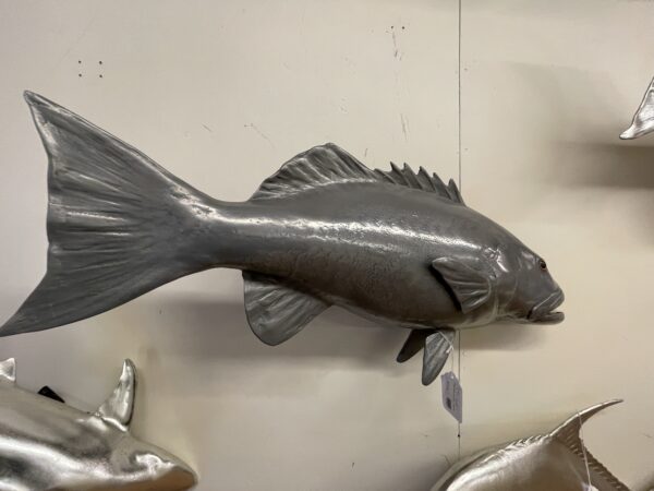 philips collect. bat fish