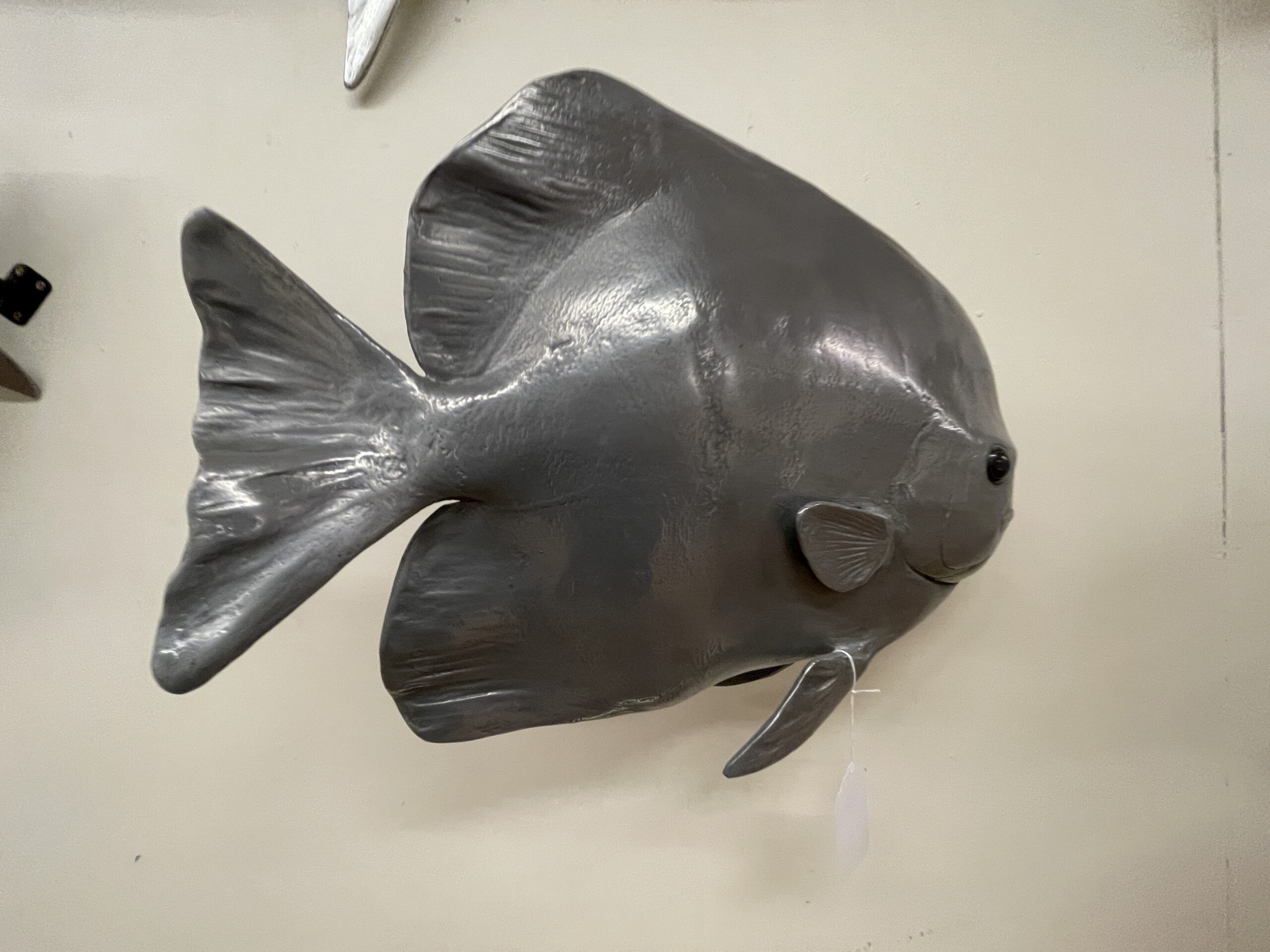 philips collect. bat fish